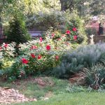 article image - 